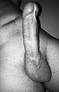 …., foto 1113x1715, 3 reacties, 6 stemmen