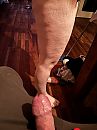 …, foto 3000x4000, 0 reacties, 7 stemmen