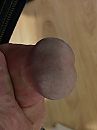 EIKEL, foto 480x640, 2 reacties, 2 stemmen