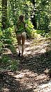 Een vos in het bos, foto 2160x3840, 4 reacties, 18 stemmen