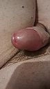 Eikel staat in bloei, foto 2250x4000, 1 reacties, 3 stemmen