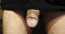 Eikel zwelt al op,, foto 2439x1310, 4 reacties, 6 stemmen