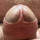 Eikel, foto 1099x1099, 0 reacties, 3 stemmen