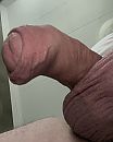 Eikel, foto 2061x2562, 1 reacties, 2 stemmen
