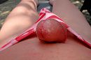 Eikel, foto 2304x1536, 1 reacties, 6 stemmen