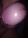 Eikel, foto 3000x4000, 1 reacties, 2 stemmen