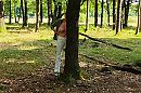 Eind van de zomer?, foto 848x565, 15 reacties, 40 stemmen