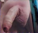 Ervaring opdoen, foto 316x280, 1 reacties, 4 stemmen