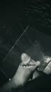 Even de druk er afhalen, film 00:00:00, 16 reacties, 36 stemmen
