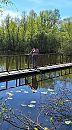 Even de natuur in, foto 881x1581, 3 reacties, 32 stemmen