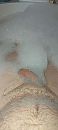 Even ontspannen, foto 1802x4000, 2 reacties, 4 stemmen