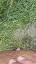 Even plassen, foto 1980x3520, 1 reacties, 3 stemmen