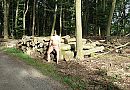 Even zitten, foto 2697x1871, 1 reacties, 9 stemmen