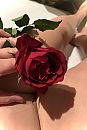 Sweetest thing, foto 2268x3369, 30 reacties, 89 stemmen