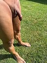 , foto 3000x4000, 5 reacties, 18 stemmen