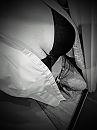 , foto 2736x3648, 43 reacties, 82 stemmen