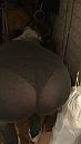 Ff opruimen xxxtam, foto 1242x2208, 40 reacties, 146 stemmen