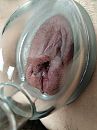 Ff, foto 600x800, 34 reacties, 117 stemmen