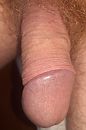 Foto 2 Tribute voor..., foto 2250x3375, 0 reacties, 2 stemmen