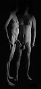 Friends, foto 886x1881, 5 reacties, 14 stemmen