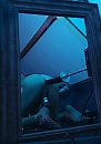Fuckingmachine., foto 1908x2720, 1 reacties, 3 stemmen
