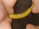 Gaan met die Banaan, foto 3648x2736, 0 reacties, 0 stemmen