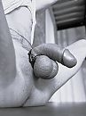 Gebonden., foto 2316x3088, 2 reacties, 4 stemmen