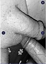 Gebonden geilert, foto 564x783, 0 reacties, 1 stemmen