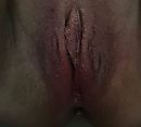 Gebruikt kutje Lady H, foto 891x802, 3 reacties, 12 stemmen