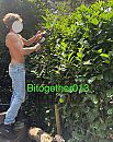 Geen sex..., foto 1394x1752, 7 reacties, 57 stemmen