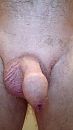 Geen verdere toelichting, foto 1836x3264, 0 reacties, 0 stemmen