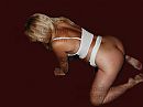 Geil hondje, foto 866x650, 15 reacties, 44 stemmen