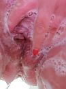 Geil onder de douche, foto 2448x3264, 21 reacties, 61 stemmen