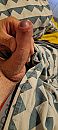 Geil, foto 1802x4000, 0 reacties, 3 stemmen