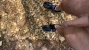 Geile wandeling gemaakt, film 00:00:00, 5 reacties, 16 stemmen