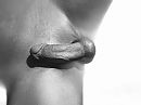Geile dinsdag …, foto 3088x2316, 0 reacties, 1 stemmen