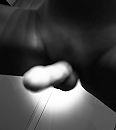 Geile pik …, foto 2241x2494, 0 reacties, 1 stemmen