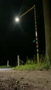 Gelukkig nieuwjaar, film 00:00:06, 5 reacties, 24 stemmen