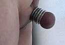 Geringde ballen, foto 1565x1104, 4 reacties, 5 stemmen