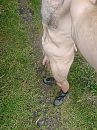 Gewoon even, foto 2208x2944, 2 reacties, 6 stemmen
