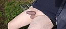Gewoon omdat het kan., foto 4000x1800, 0 reacties, 4 stemmen