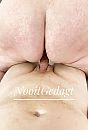 Stelletjes en trio