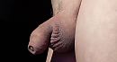 Gewoon., foto 2282x1212, 1 reacties, 2 stemmen