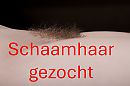 Gezocht in aantal kleuren, foto 4000x2666, 2 reacties, 3 stemmen