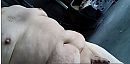 Gezocht omgeving Helmond, foto 668x333, 2 reacties, 6 stemmen