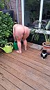 Gieter vullen!, foto 2252x4000, 14 reacties, 53 stemmen