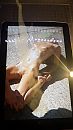 GiorgiaR, foto 2250x4000, 0 reacties, 3 stemmen