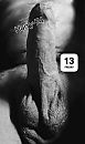 Gisteren en vannacht, foto 1431x2386, 1 reacties, 2 stemmen