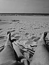 Gisteren op het Noorderstrand, foto 1536x2048, 0 reacties, 2 stemmen