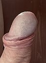 Glimmer, foto 892x1232, 1 reacties, 7 stemmen